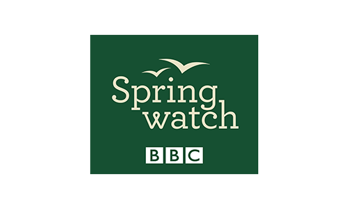 Springwatch logo