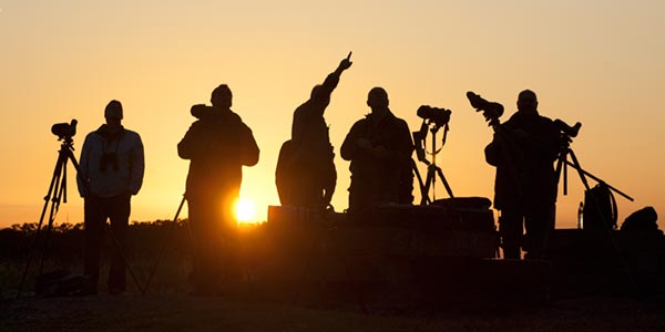 Bird surveyors. Agami@adobestock