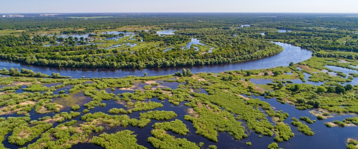 Pripyat river. © Daniel Rosengren / Frankfurt Zoological Society