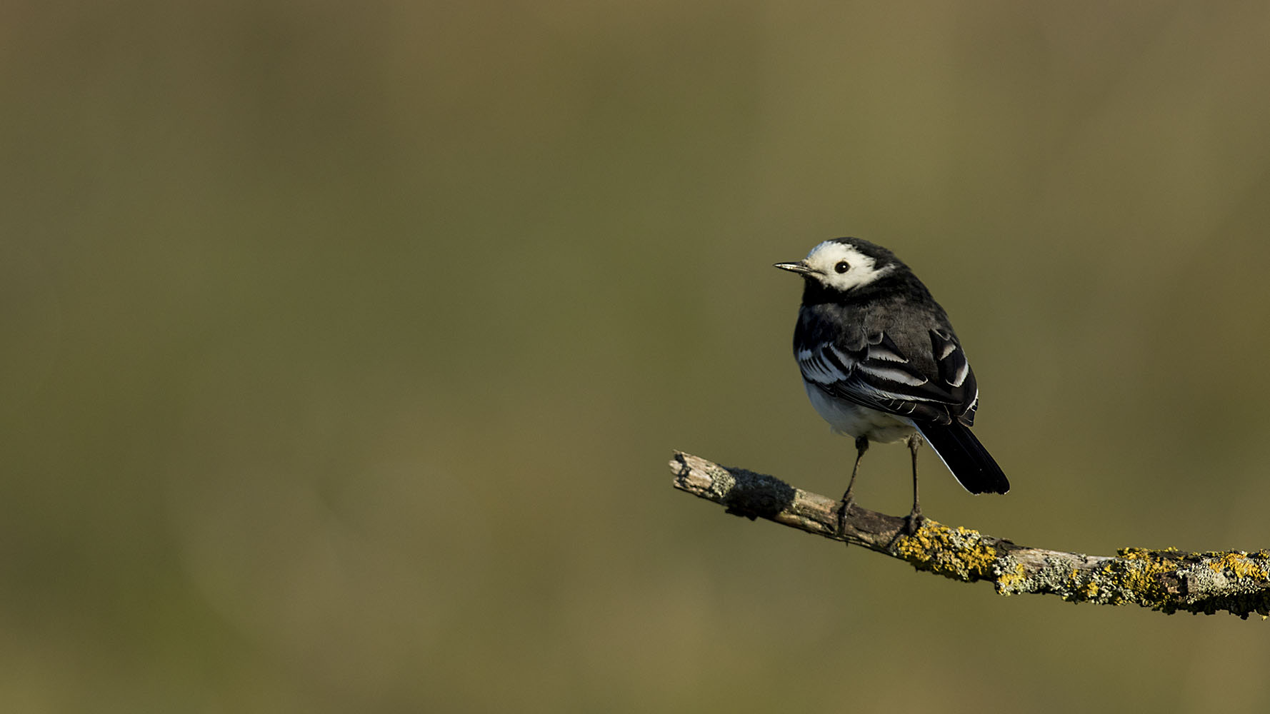 bto-2019-b03-tom_streeter-186_2_edit.jpg