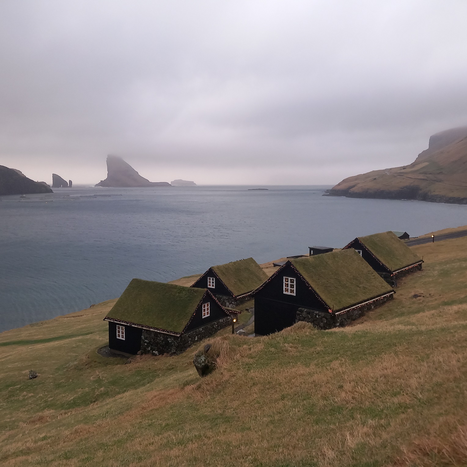 View with the sea stacks Drangarnir in the distance, Lesley Hindley