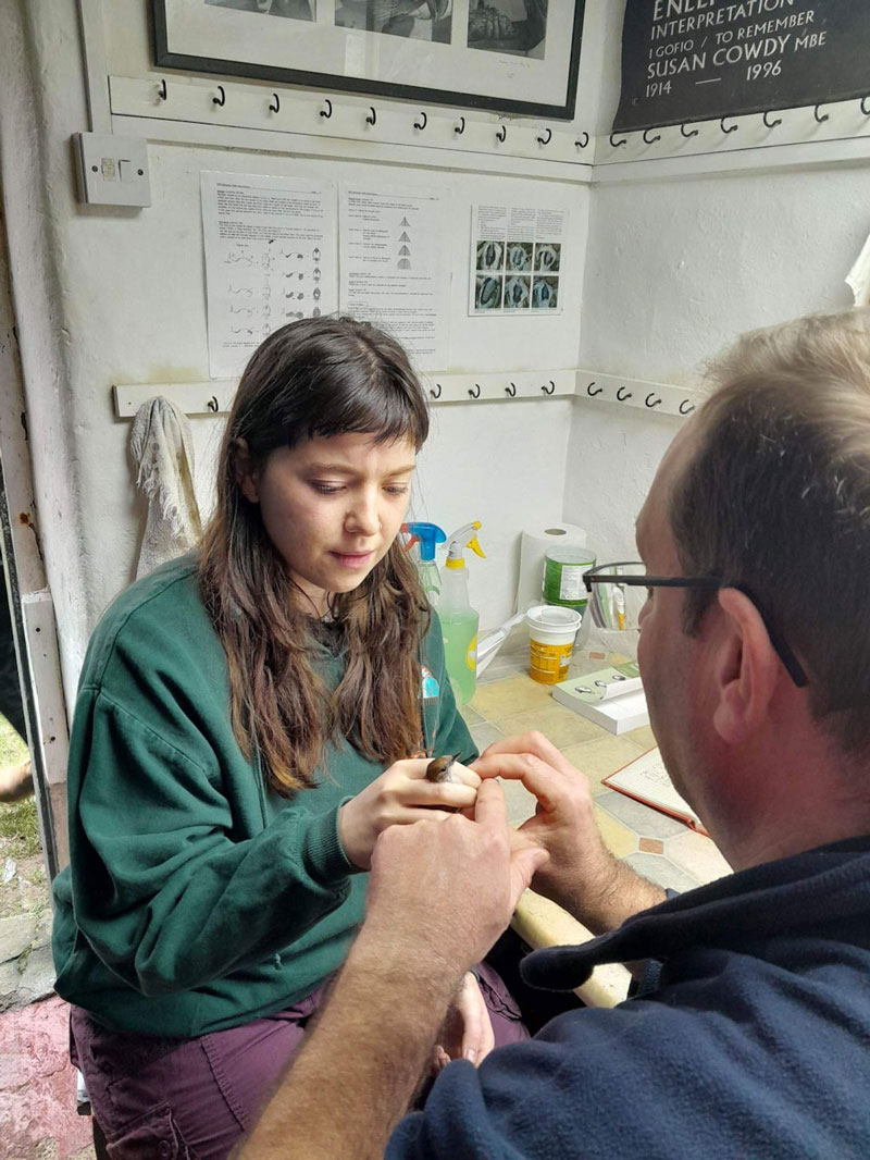 Leah at Ynys Enlli Bird Observatory. Leah Bednarczyk