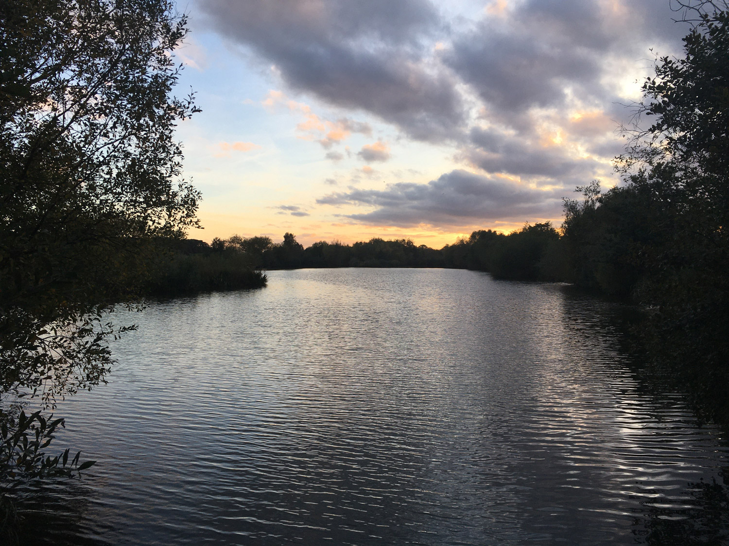 Nunnery Lakes Nature Reserve. Sophie Bennett