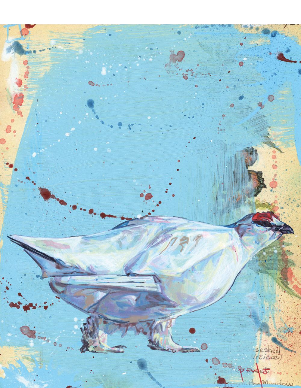 Ptarmigan artwork by Paul Ward