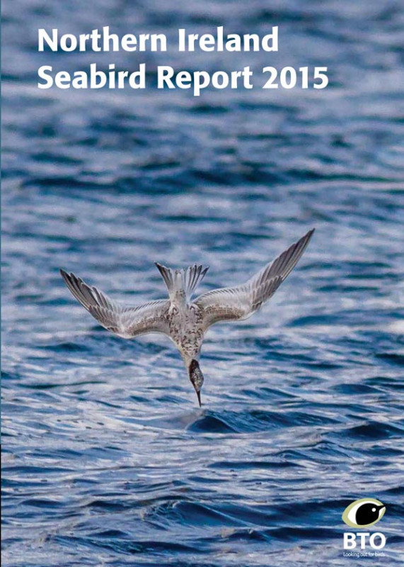 Northern Ireland Seabird Report 2018 cover