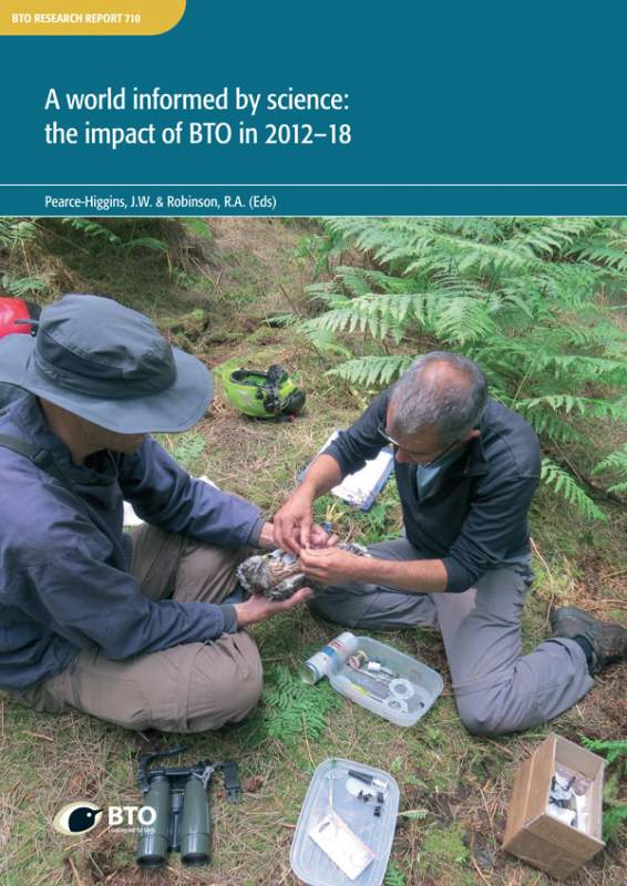 BTO Research Report 710 cover