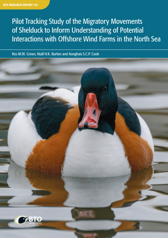 BTO Research Report 725 cover