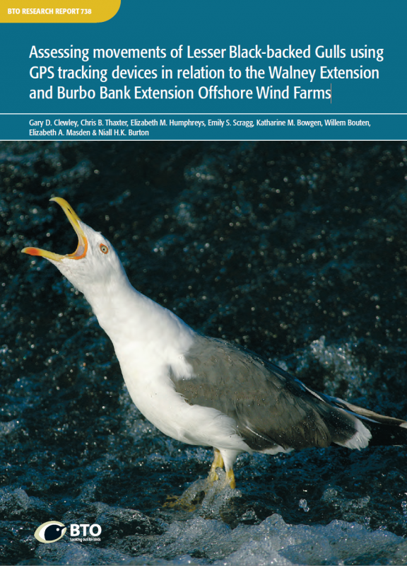 BTO Research Report 738 cover