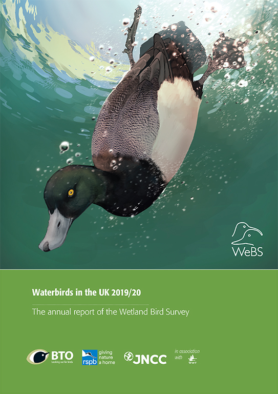 Waterbirds in the UK 2019/20