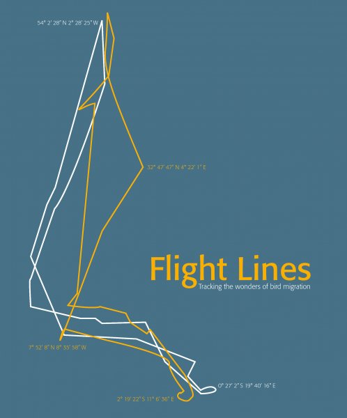 Flight Lines: Tracking the wonders of bird migration