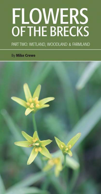 Flowers of the Brecks cover