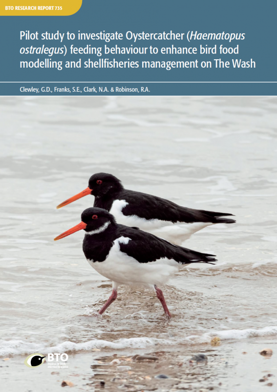 BTO Research Report 735 cover