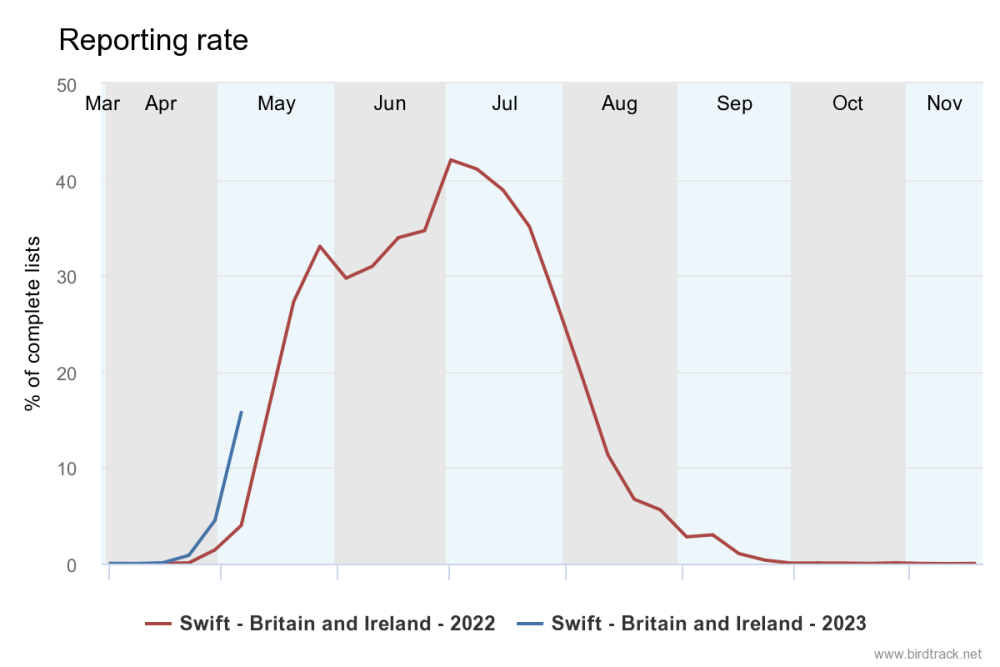 reporting-rate_-_swift.png