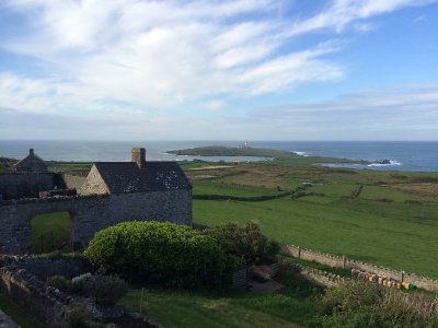 Bardsey Bird Observatory by Steve Stansfield.