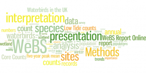 Major words/themes of WeBS methods & analysis