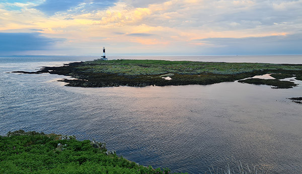 The People's Plan for Nature emphasises the need for marine protected areas. Katherine Booth Jones / BTO