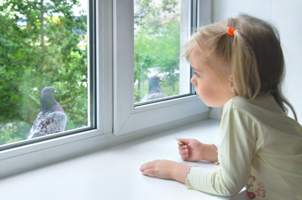 Girl looking at pigeon, Leonid Ikan / stock.adobe.com