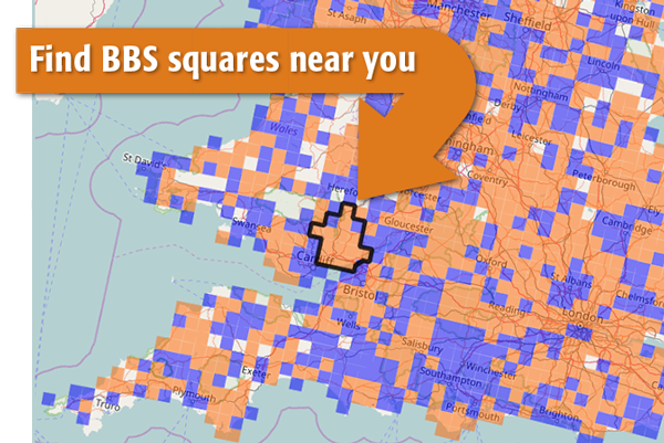 bbs square signup map