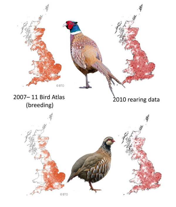 Bird Atlas 2007-11 wild and captive game bird comparison