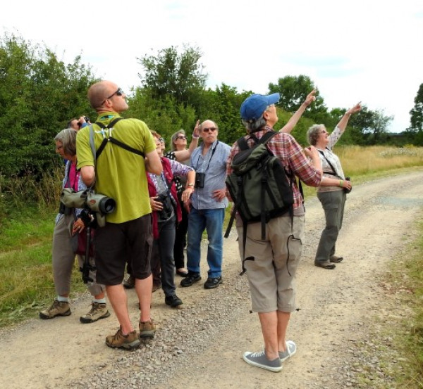 Looking out for Osprey at the Birdfair