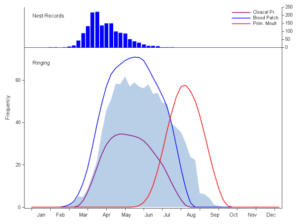 Graph showing phenology of Blackbirds