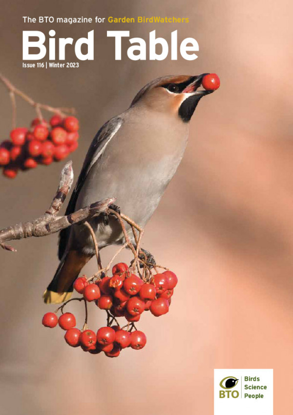 Bird Table current issue cover