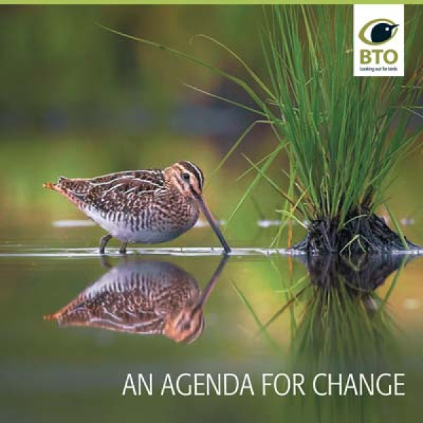 An Agenda for Change