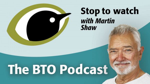 Stop to watch podcast with Martin Shaw