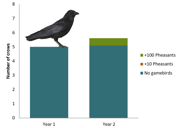 Crow population prediction. Faye Vogely