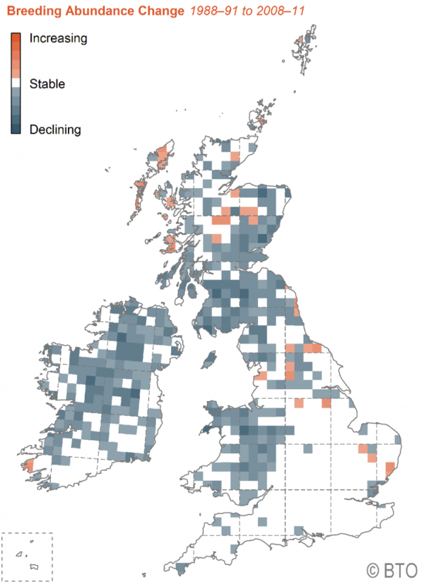 Breeding abundance change map for Curlew