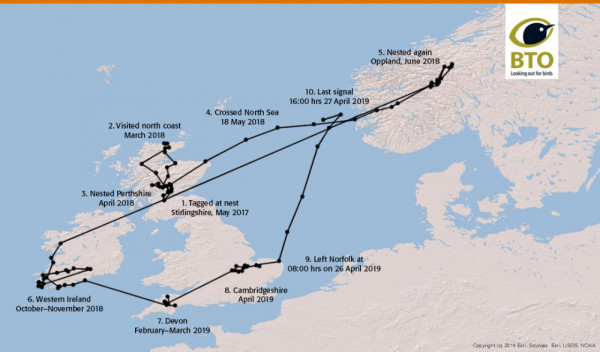 Short-eared Owl gr88872 route (annotated)