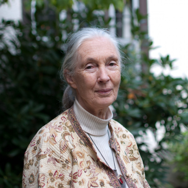 Jane Goodall. Think Out Loud / Flickr