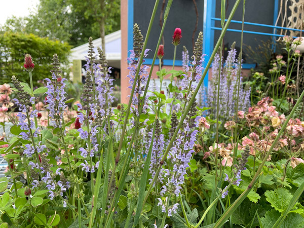 JAY DAY Plants. Michelle Reeve