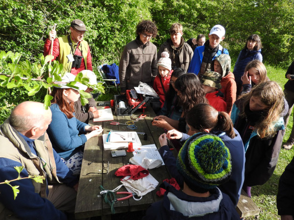 Scottish Bird Camp Ringing Demonstration.