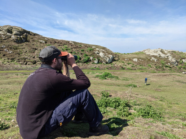 A seabird survey volunteer