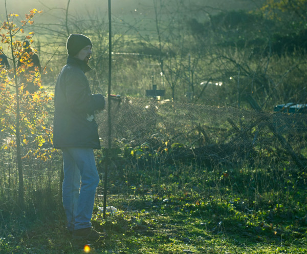 Setting up a mist net. David Tipling / BTO