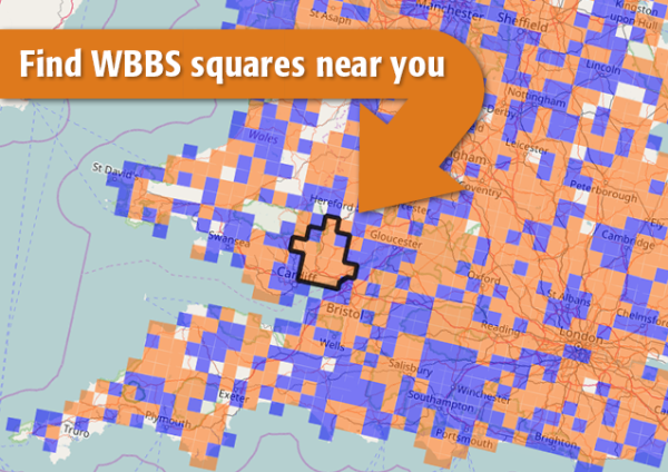 wbbs square signup map