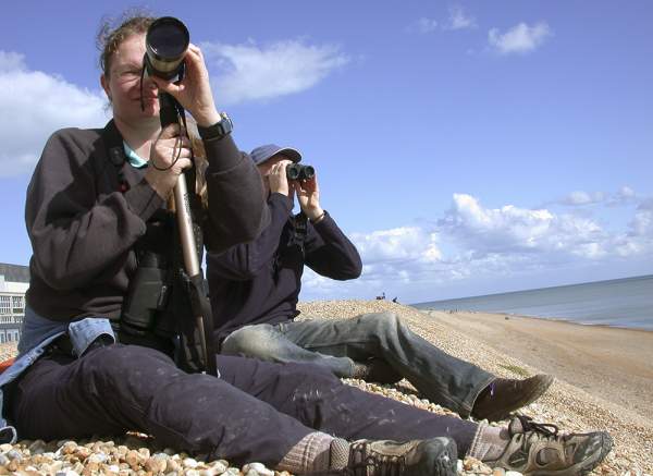 Seawatching. Photograph by Dawn Balmer