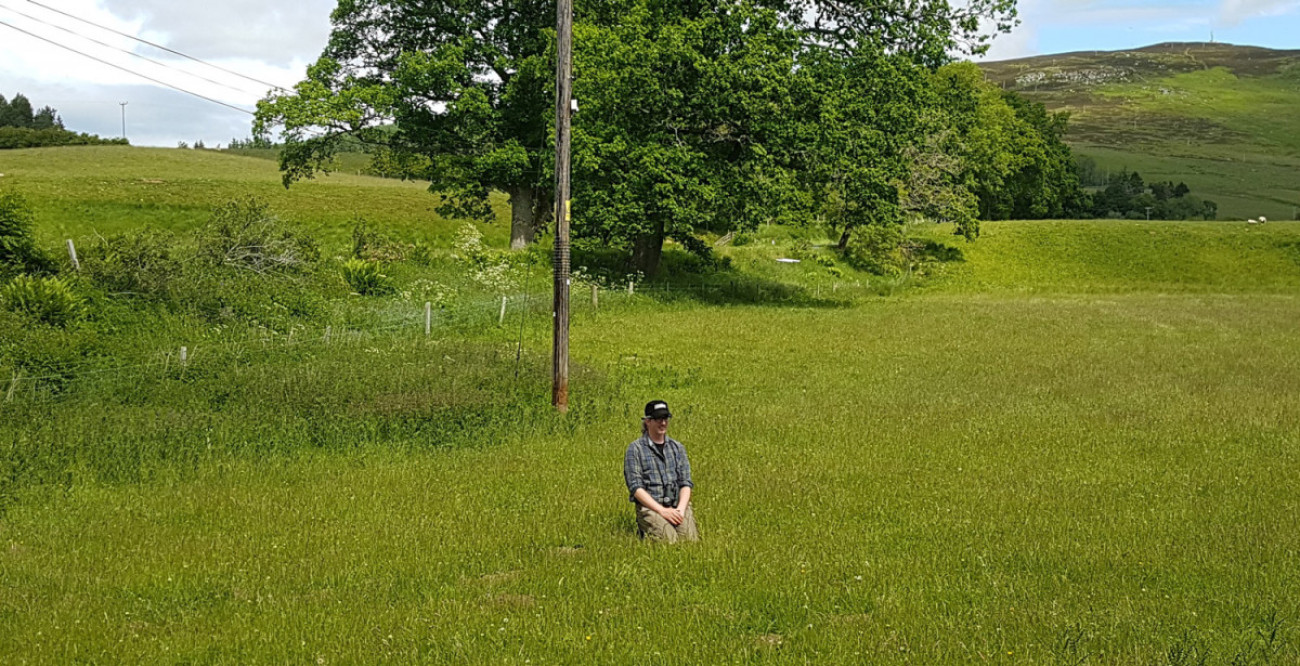 Waiting in the field. Mark Wilson