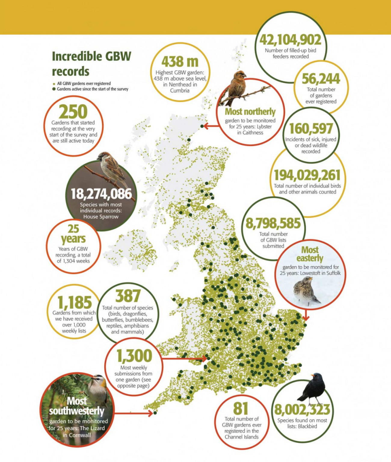 GBW record highlights from 25 years