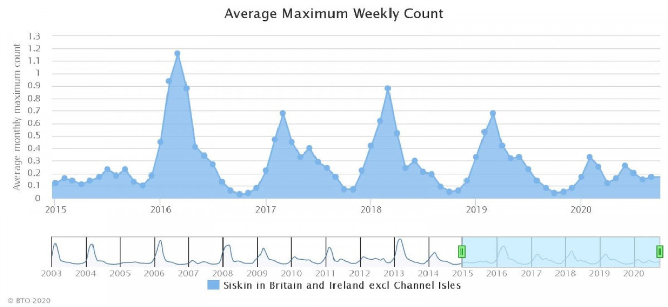 Siskin GBW average maximum weekly count graph