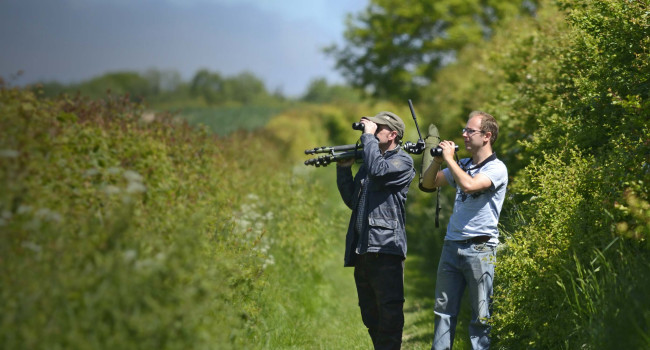 Volunteer surveyors. David Tipling