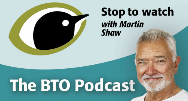 Stop to watch podcast with Martin Shaw