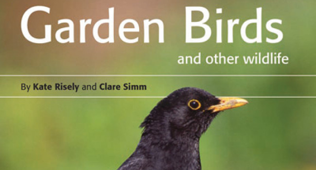 Garden Birds and other wildlife book cover