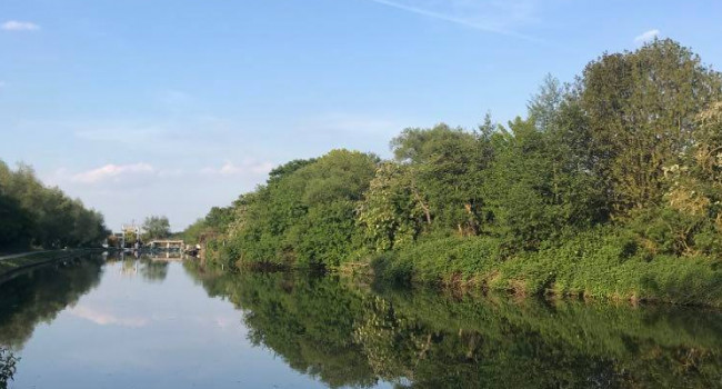 River Cam, Andy Clements.