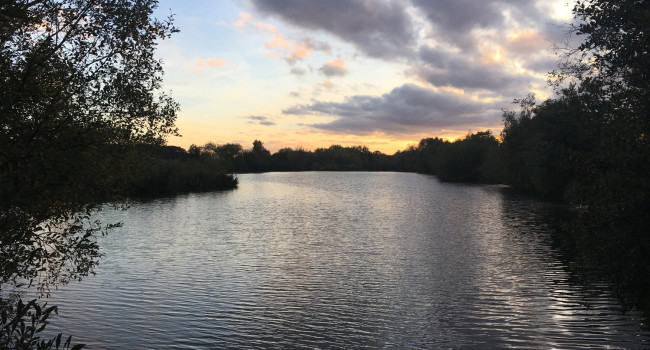 Nunnery Lakes Nature Reserve. Sophie Bennett