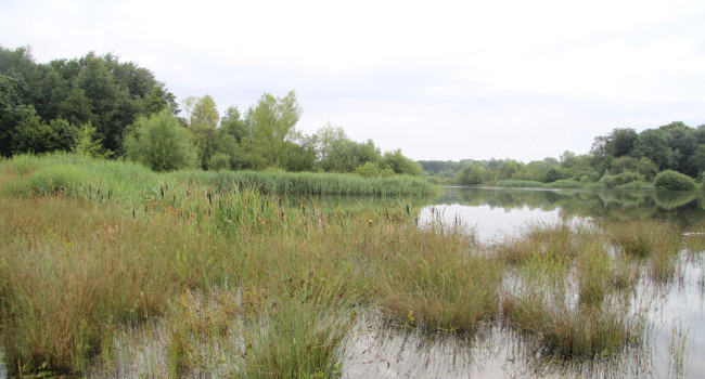 Gravel pits. Mike Toms / BTO