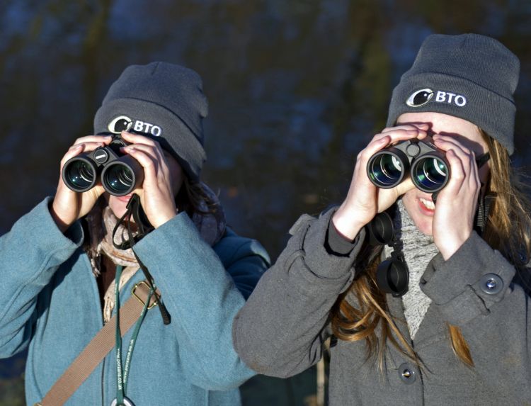 Birdwatchers by David Tipling