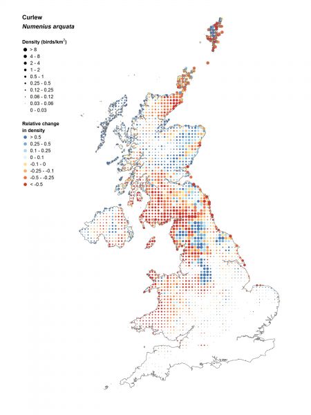 Curlew change density map