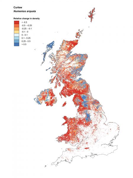 Curlew change map